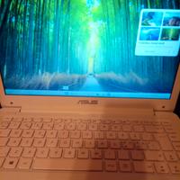 Notebook Asus Vivobook E402SA Laptop