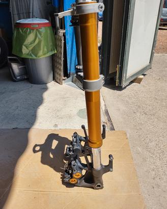 FORCELLA TMAX 530 /560