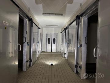 Impianto stagionatura travaglini