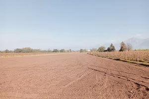 Terreno edificabile