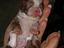 Immagine 1