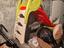 Immagine 5
