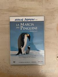La marcia dei Pinguini DVD Italiano
