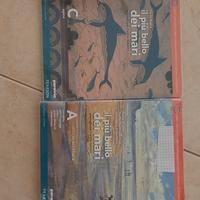 Libri Liceo Levi scientifico e/o scienze applicate
