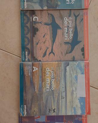 Libri Liceo Levi scientifico e/o scienze applicate