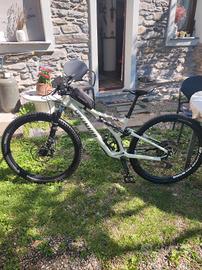 MTB Specialized Stumpjumper 