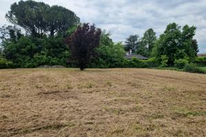 Lotti edificabili a Pradamano