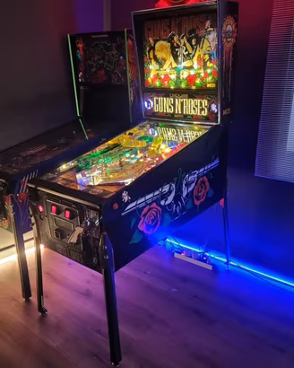 flipper guns’ n roses
