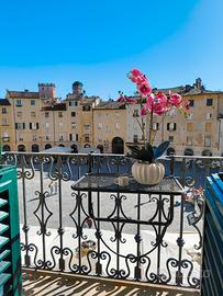 Appartamento lucca comics 2026 piazza anfiteatro