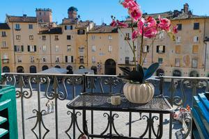 Appartamento lucca comics 2026 piazza anfiteatro