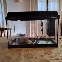 Acquario Askoll Ambiente