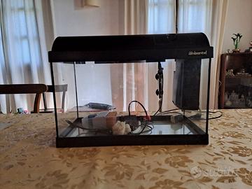 Acquario Askoll Ambiente