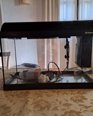 Acquario Askoll Ambiente