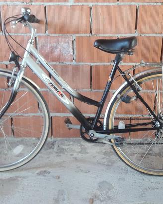 Bicicletta con cambio e ruote scorrevoli revisiona