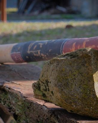 Didgeridoo artigianale tonalità Do in sequoia 