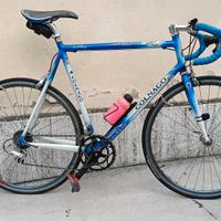 Colnago dream Art decor campagnolo