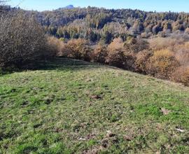 Vendita Terreno Agricolo - San Zeno di Montagna