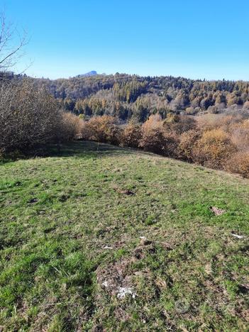 Vendita Terreno Agricolo - San Zeno di Montagna