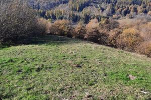Vendita Terreno Agricolo - San Zeno di Montagna