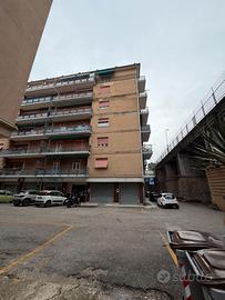 EUROCASA Falconara- Zona Parco Kennedy