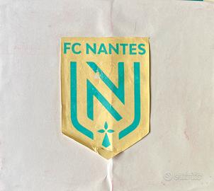 Coppia squadre Subbuteo mouded e lw Nantes