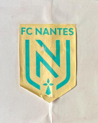 Coppia squadre Subbuteo mouded e lw Nantes