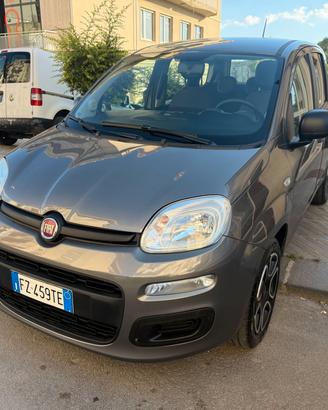 Fiat Panda 1.2 Trussardi