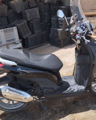 Carnaby cruiser 300