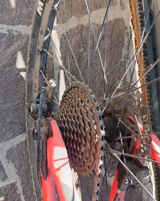 bici mountain