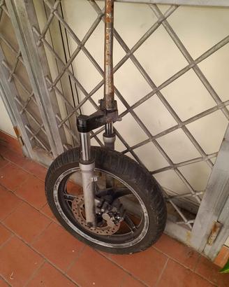 Forcella con cercho e pinza sh 125-150