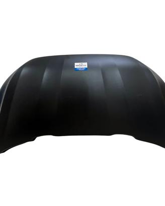 COFANO MOTORE ANTERIORE COMPLETO AIXAM CITY AMBITI