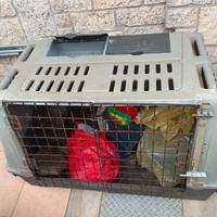 Trasportino auto cani e gatti