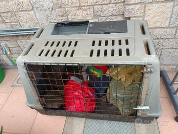 Trasportino auto cani e gatti