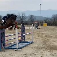 Cavalla da salto