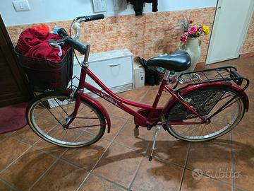 Olanda 26” 1 v