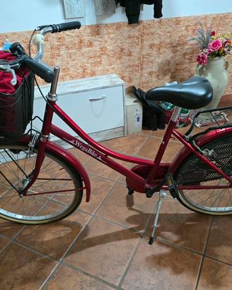 Olanda 26” 1 v