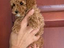 Immagine 3