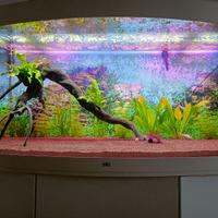 Acquario Juwel Vision 450 Bianco