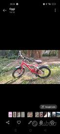 bicicletta bambino 3-6 anni