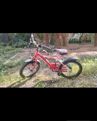 bicicletta bambino 3-6 anni