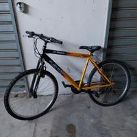 bici Gianni bugno