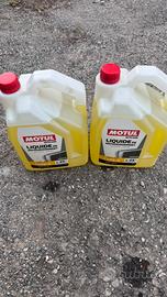 Taniche liquido Motul