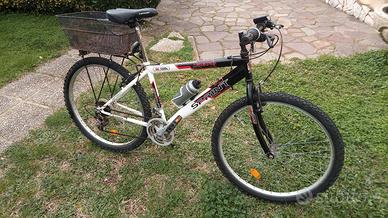 Mountain bike 