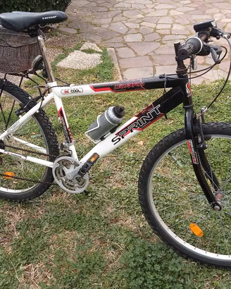 Mountain bike 