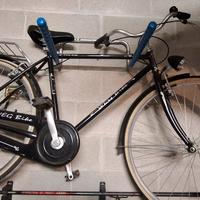 Weg Bile classic