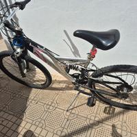 Bici 26'