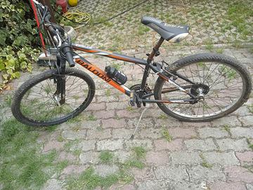 Bicicletta ragazzo/uomo