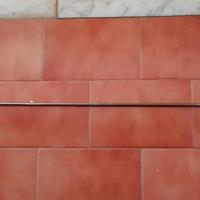 Asta fucile Arbalete Pathos Monoaletta Tricuspide