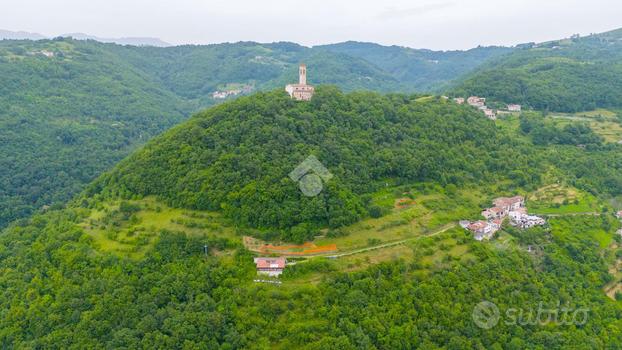 TER. AGRICOLO A BADIA CALAVENA