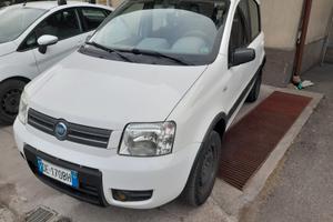 Fiat Panda 1.2 4x4